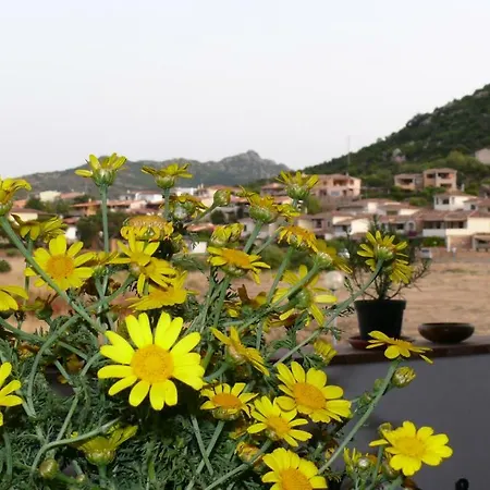 Casa de Férias Sardegna Casa Al Mare San Teodoro Vaccileddi *