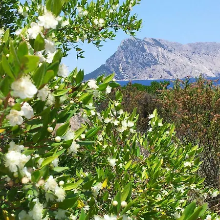 Sardegna Casa Al Mare San Teodoro Vaccileddi *