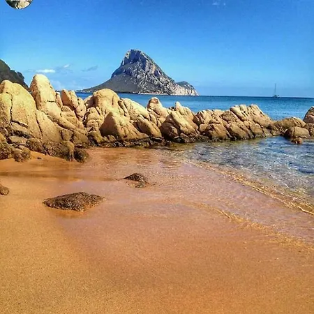 Sardegna Casa Al Mare San Teodoro Vaccileddi