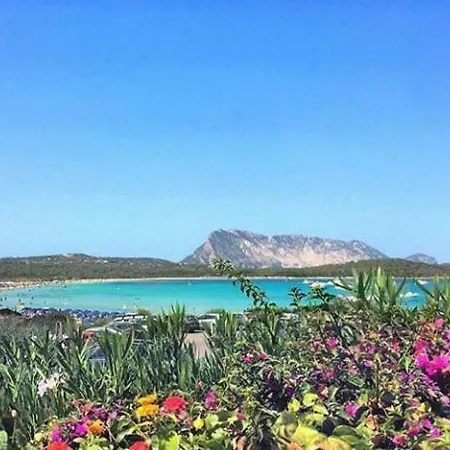 Sardegna Casa Al Mare San Teodoro Vaccileddi 펜션
