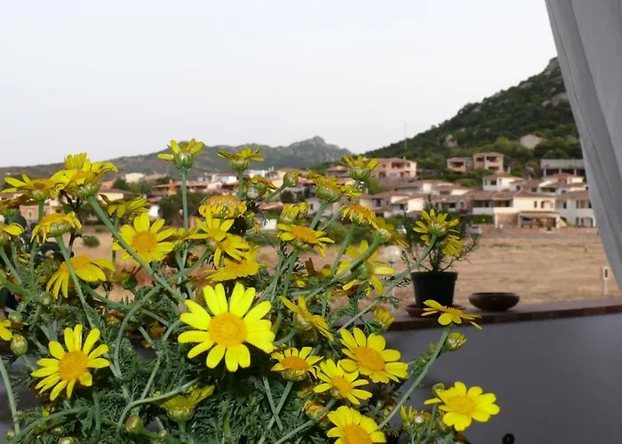 Nyaraló Sardegna Casa Al Mare San Teodoro Vaccileddi *