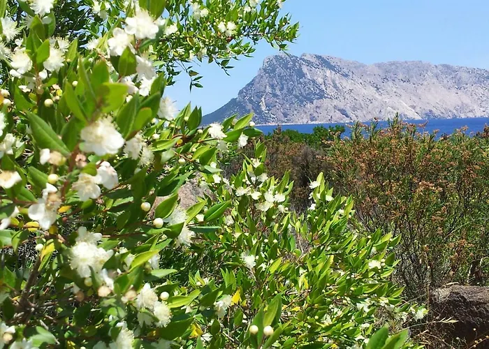 Sardegna Casa Al Mare San Teodoro Vaccileddi *