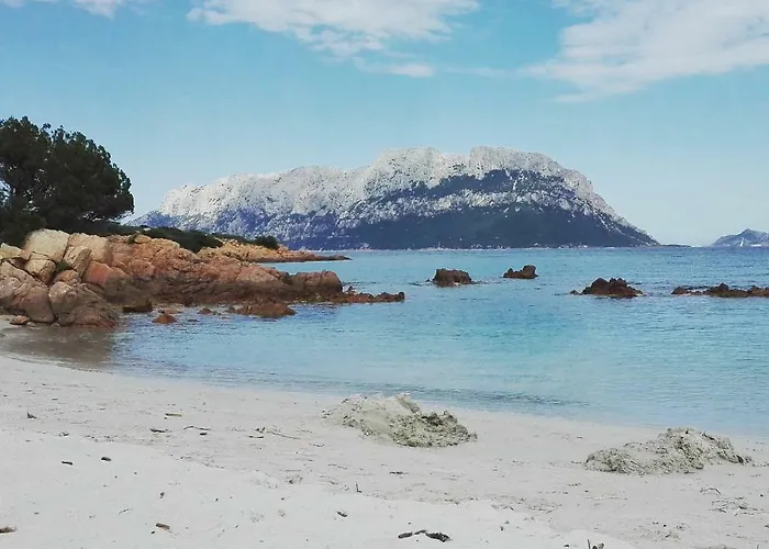 Nyaraló Sardegna Casa Al Mare San Teodoro Vaccileddi Porto San Paolo